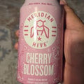 Meridian Hive Cherry Blossom 4 pack
